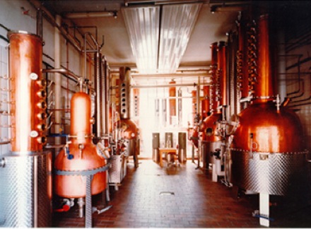 Loading Image